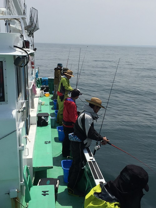 6月１日ショウサイフグ2日マダコ釣果報告 茨城県 大洗港 釣船 遊漁船 海釣り 光来丸